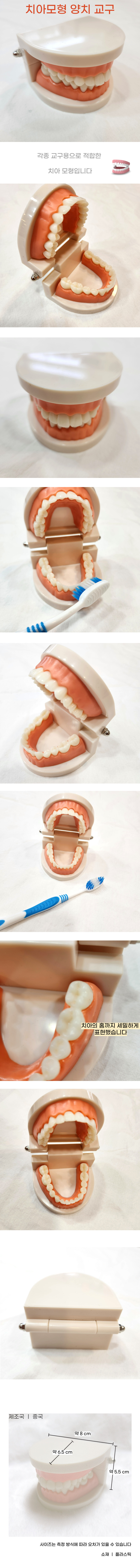 tooth.jpg