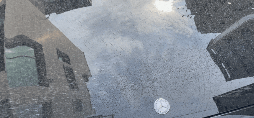 13.gif