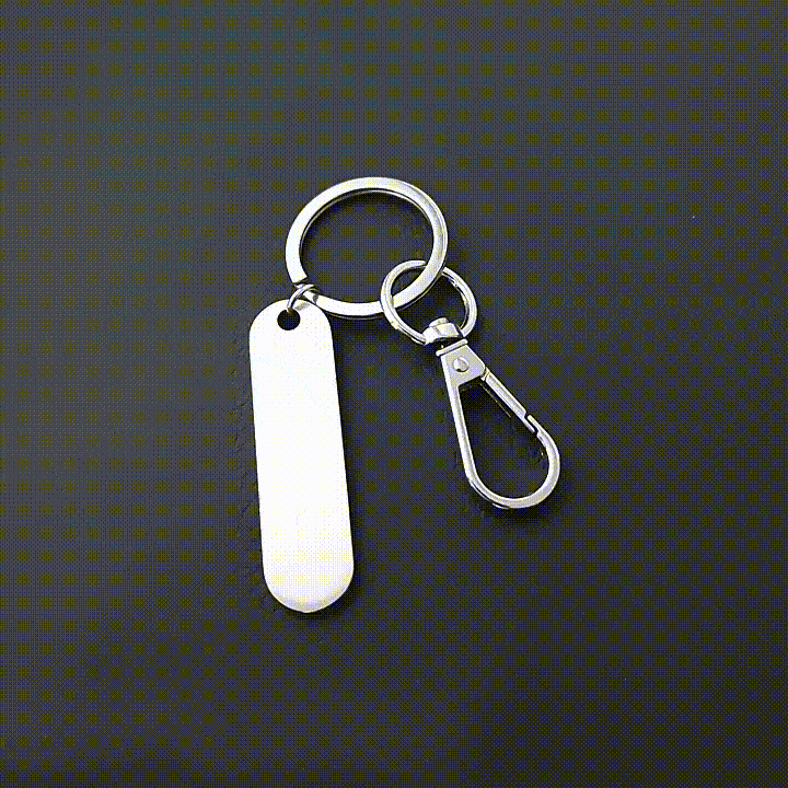 stainkeyring2_action.gif