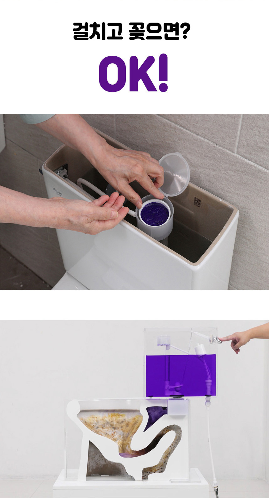 쇼킹 자동 변기왕