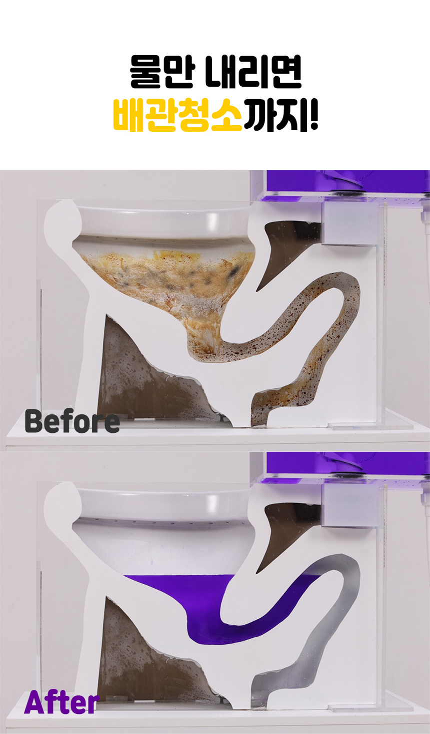 쇼킹 자동 변기왕