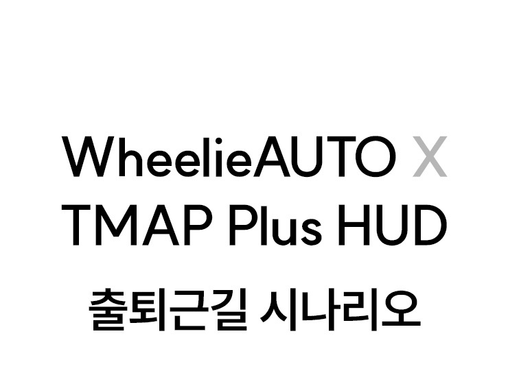 WheelieAUTO_07_01.jpg