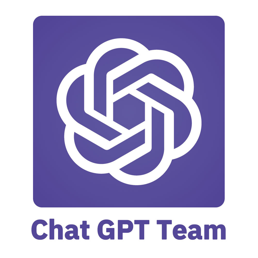 AMP GPT Team 12개월 구독