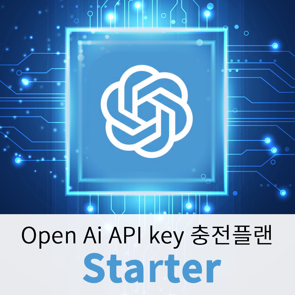 AMP GPT API Starter 충전