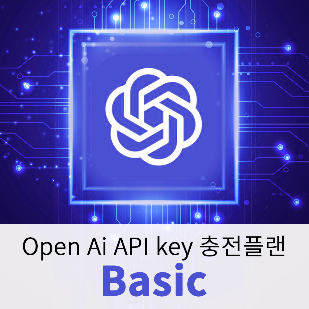 AMP GPT API Basic 충전
