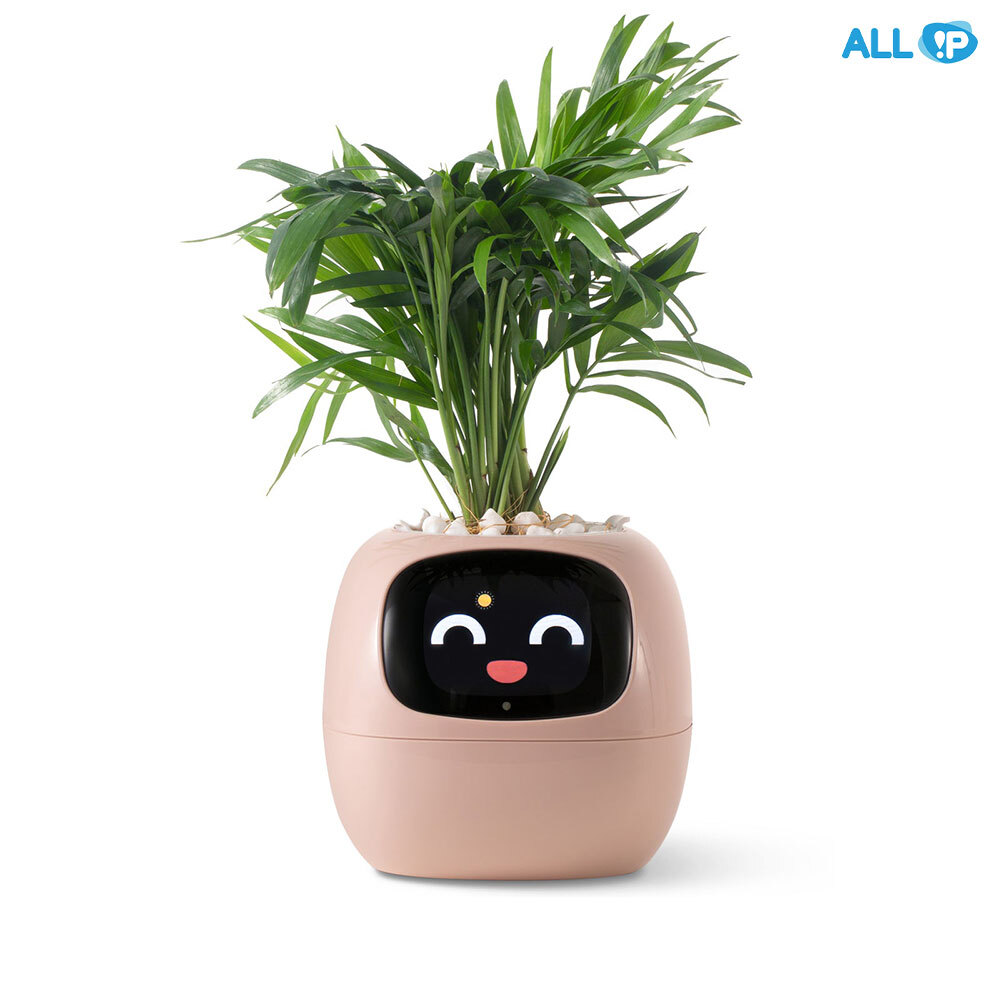 플랜시오 아이비 스마트 펫 플랜터