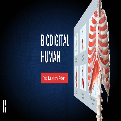 올아이피 메타버스 BioDigital Human