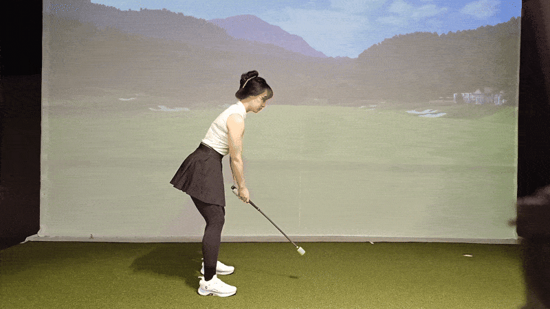 GIF02.gif