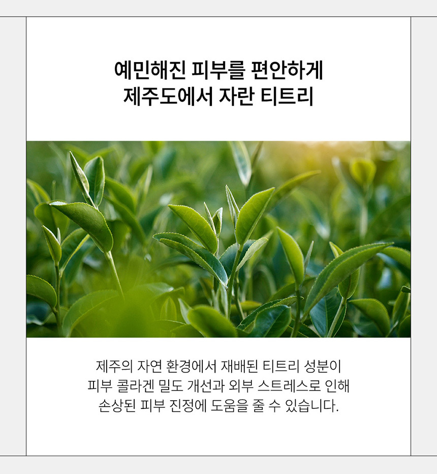 메이크업과 노폐물을 제거하는 옐로우 클린 딥포어 클렌징 밤