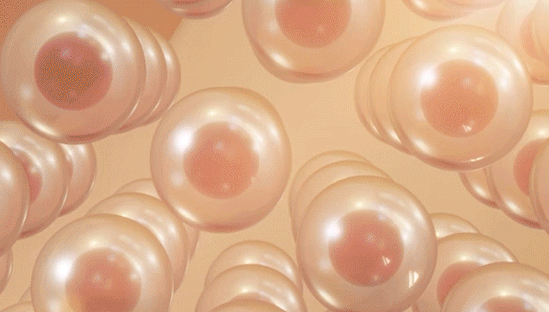 09.gif