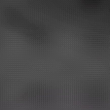 12.gif