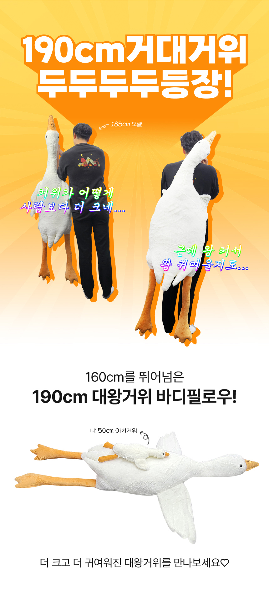 02.png
