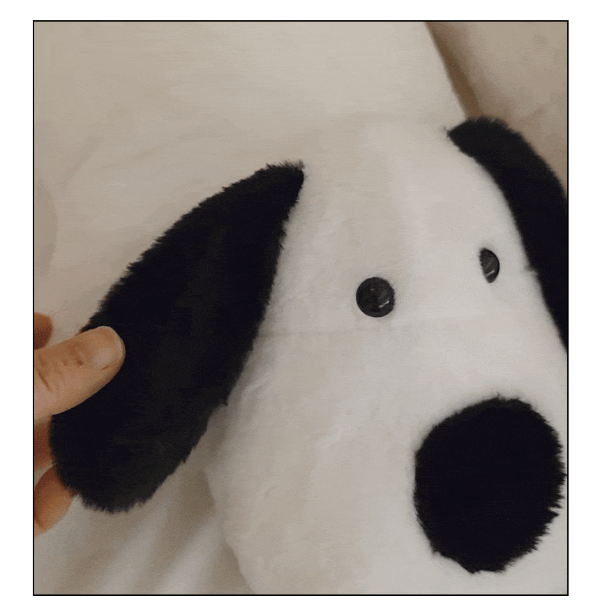 dog_11.gif