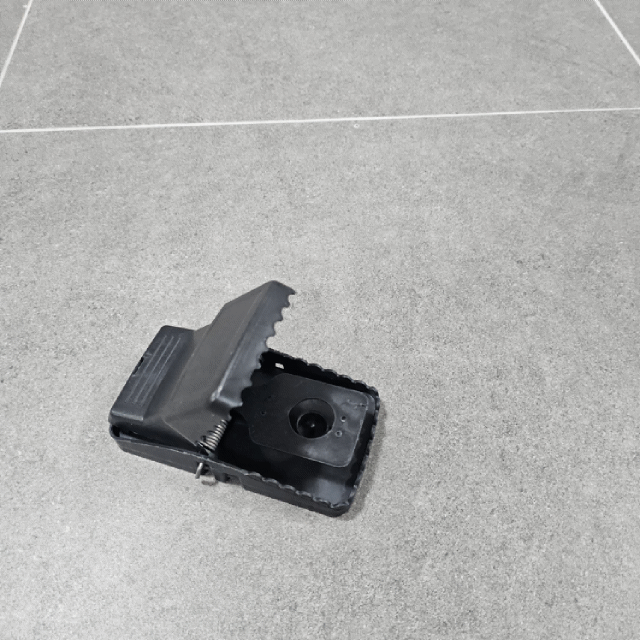 mouse1.gif