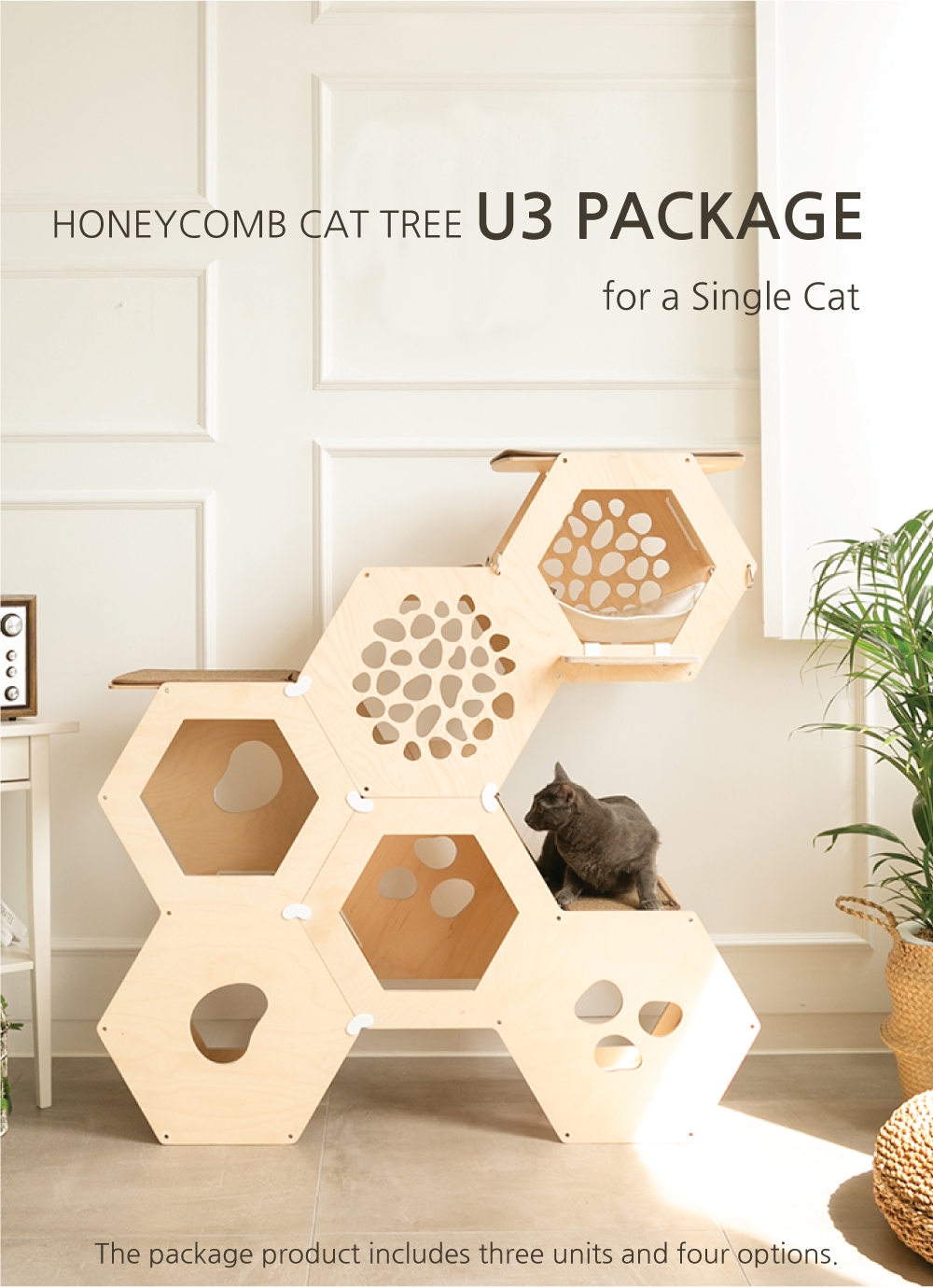 Korean cat furniture hotsell