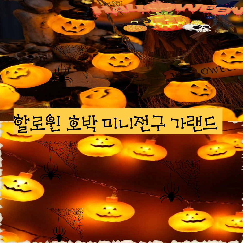 %ED%98%B8%EB%B0%95%EC%A0%84%EA%B5%AC1.jpg
