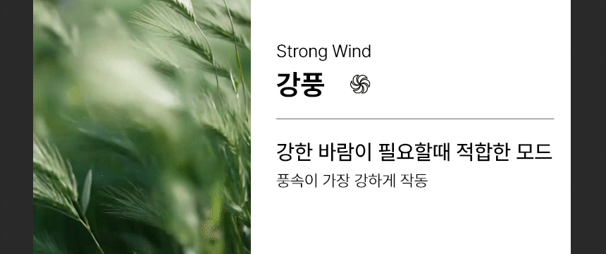 보아르 퓨어링 공기청정 날개없는 선풍기 신생아 무엽 무풍 거실 UV 팬 상세 이미지 41