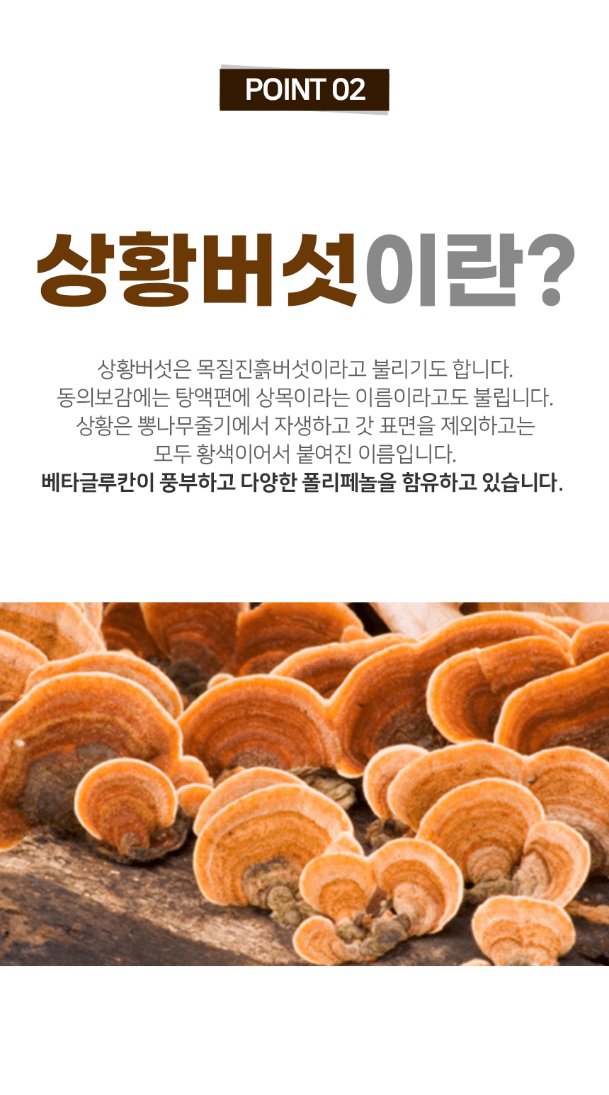 국산 상황버섯 100% 분말 가루 50G 장수상황버섯 - 그린약초