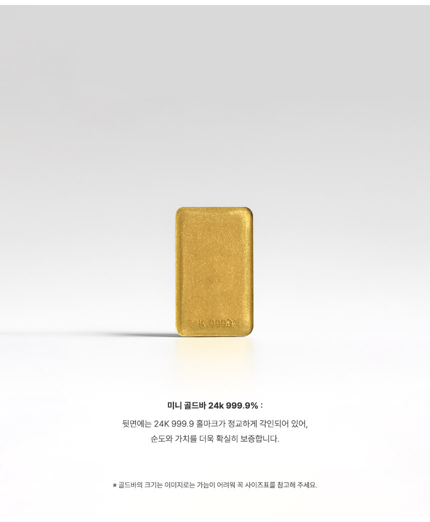 포켓 골드바