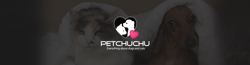 petchuchu_bag.jpg