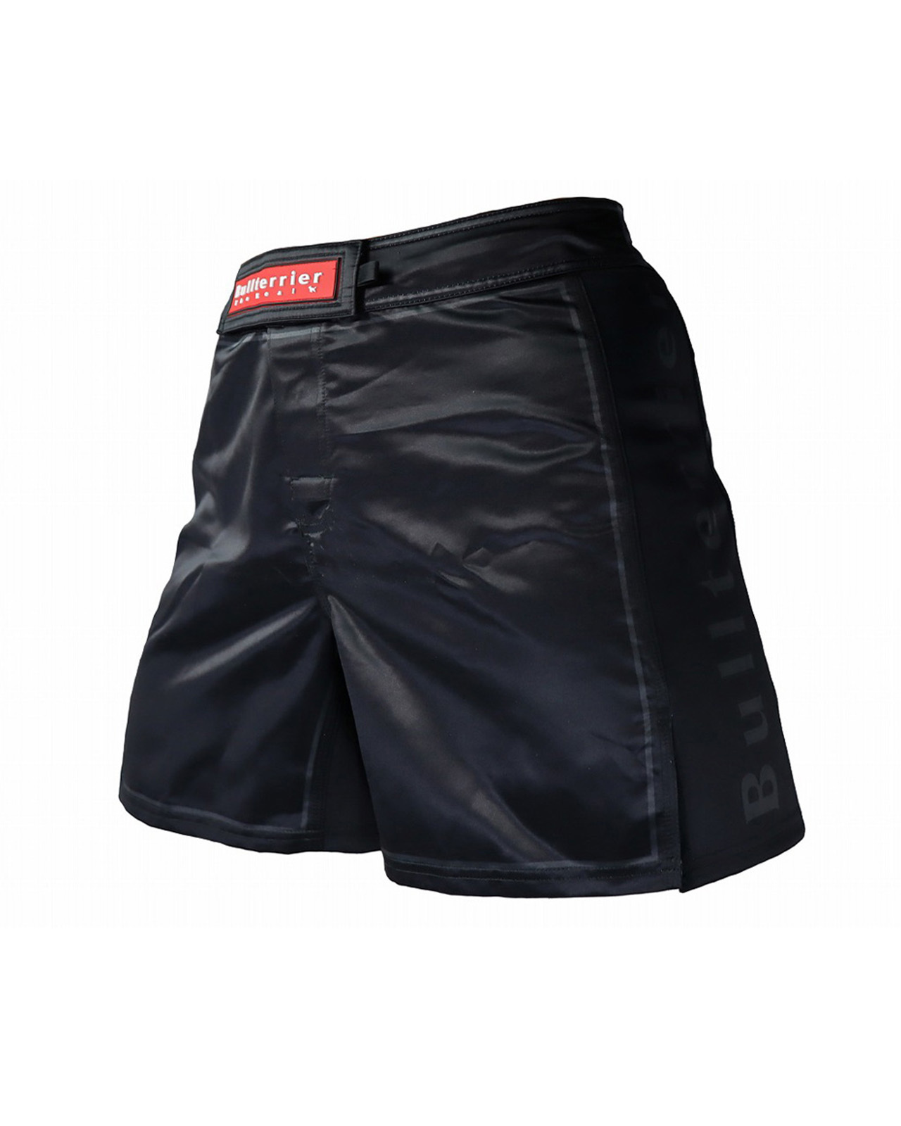 불테리어 파이트 쇼츠 랭크 3.0 - 블랙