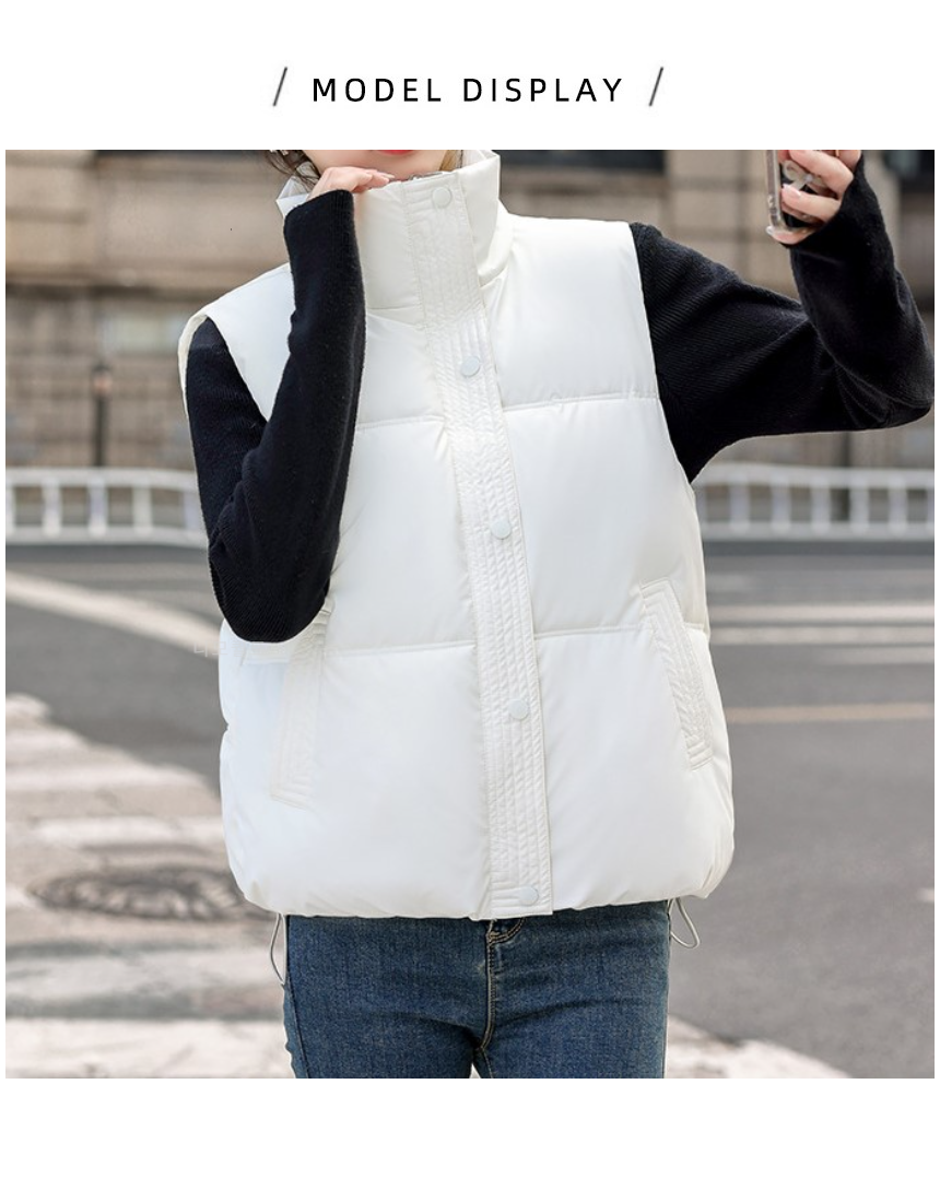 K2220%204.png
