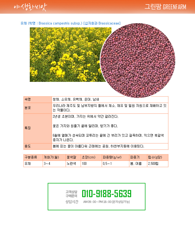 Gmarket - 1Kg/Flower Seeds