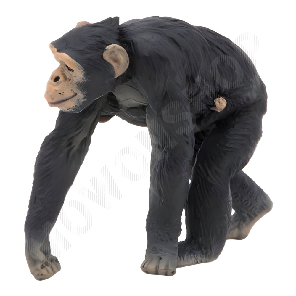 미니 동물 피규어 세트 원숭이 모형 장난감 아기 침팬지 (50194)