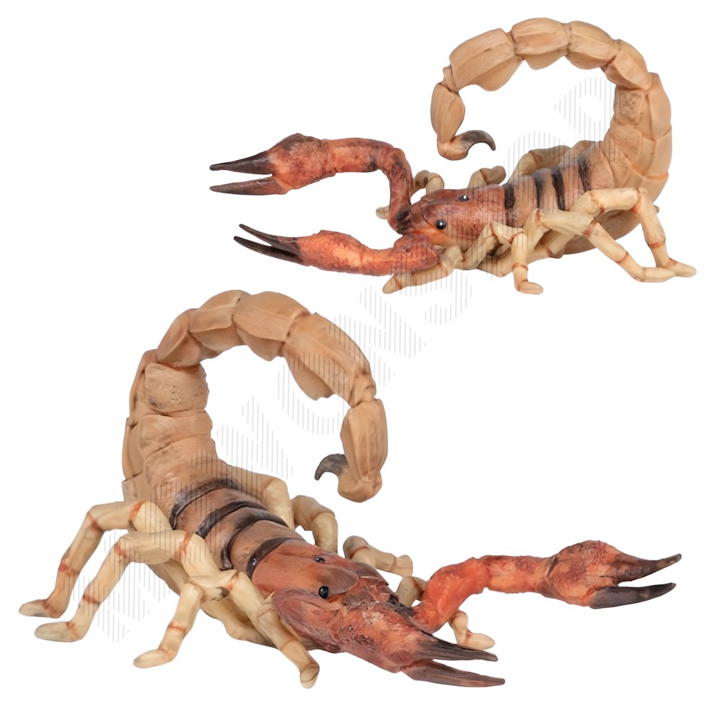 미니 동물 피규어 세트 전갈 모형 장난감 스콜피온