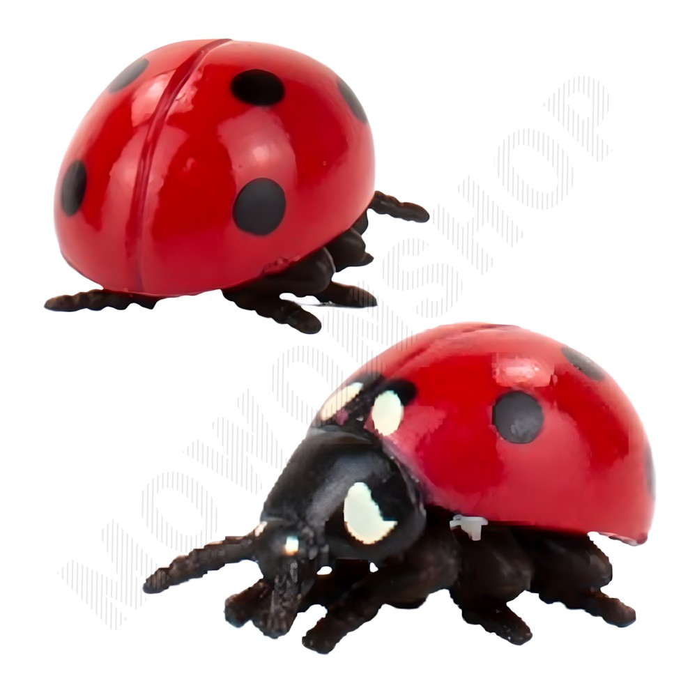 곤충 피규어 세트 장난감 모형완구 레이디벅스 무당벌레