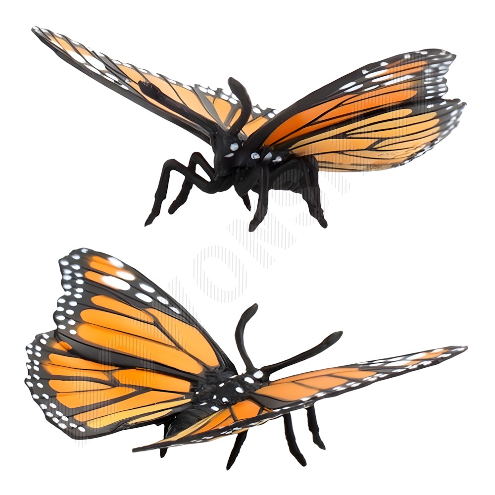 곤충 피규어 세트 장난감 모형완구 나비