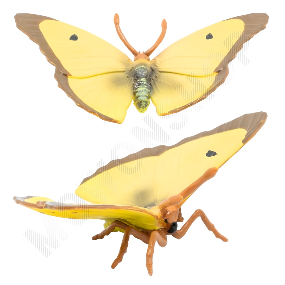 곤충 피규어 세트 장난감 모형완구 구름표범나비