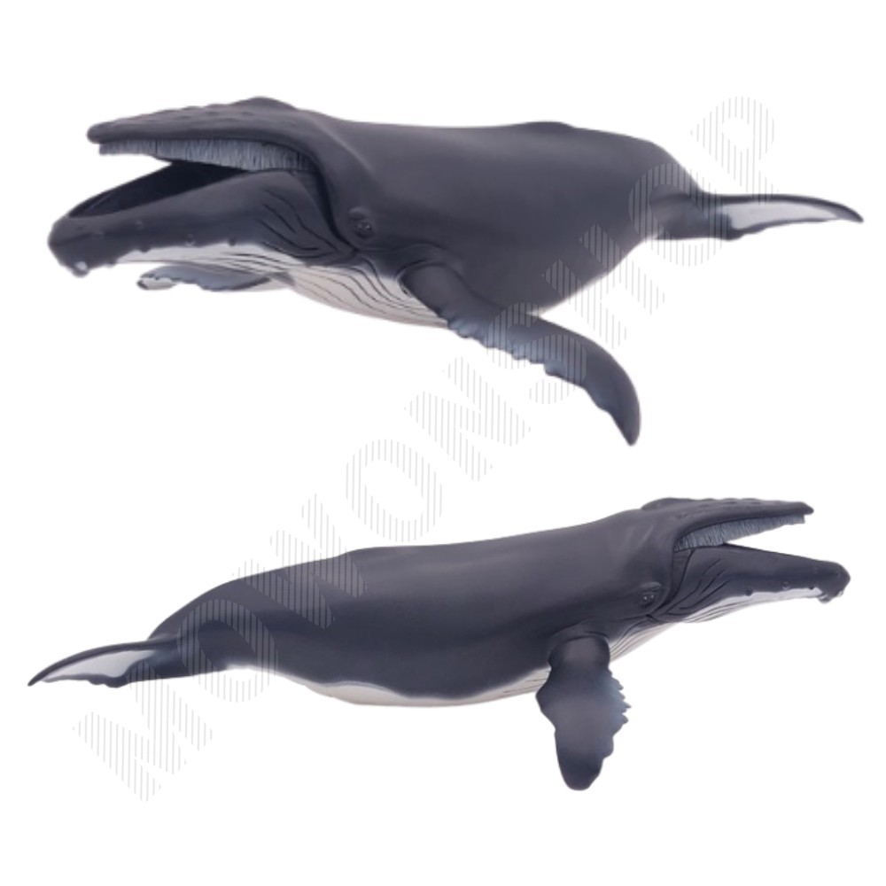 고래 상어 피규어 해양 생물 바다 동물 장난감 모형 혹등고래
