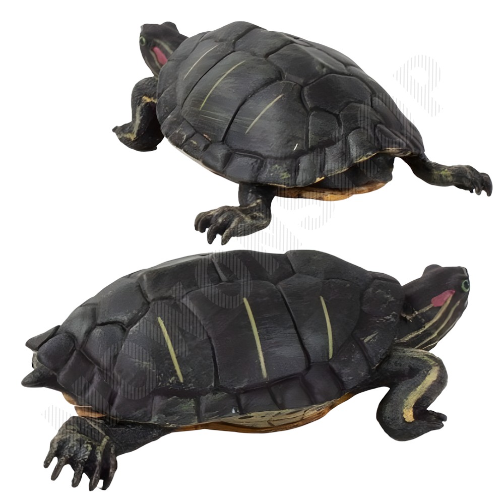 미니 동물 피규어 세트 해양 바다 생물 모형 장난감 거북이