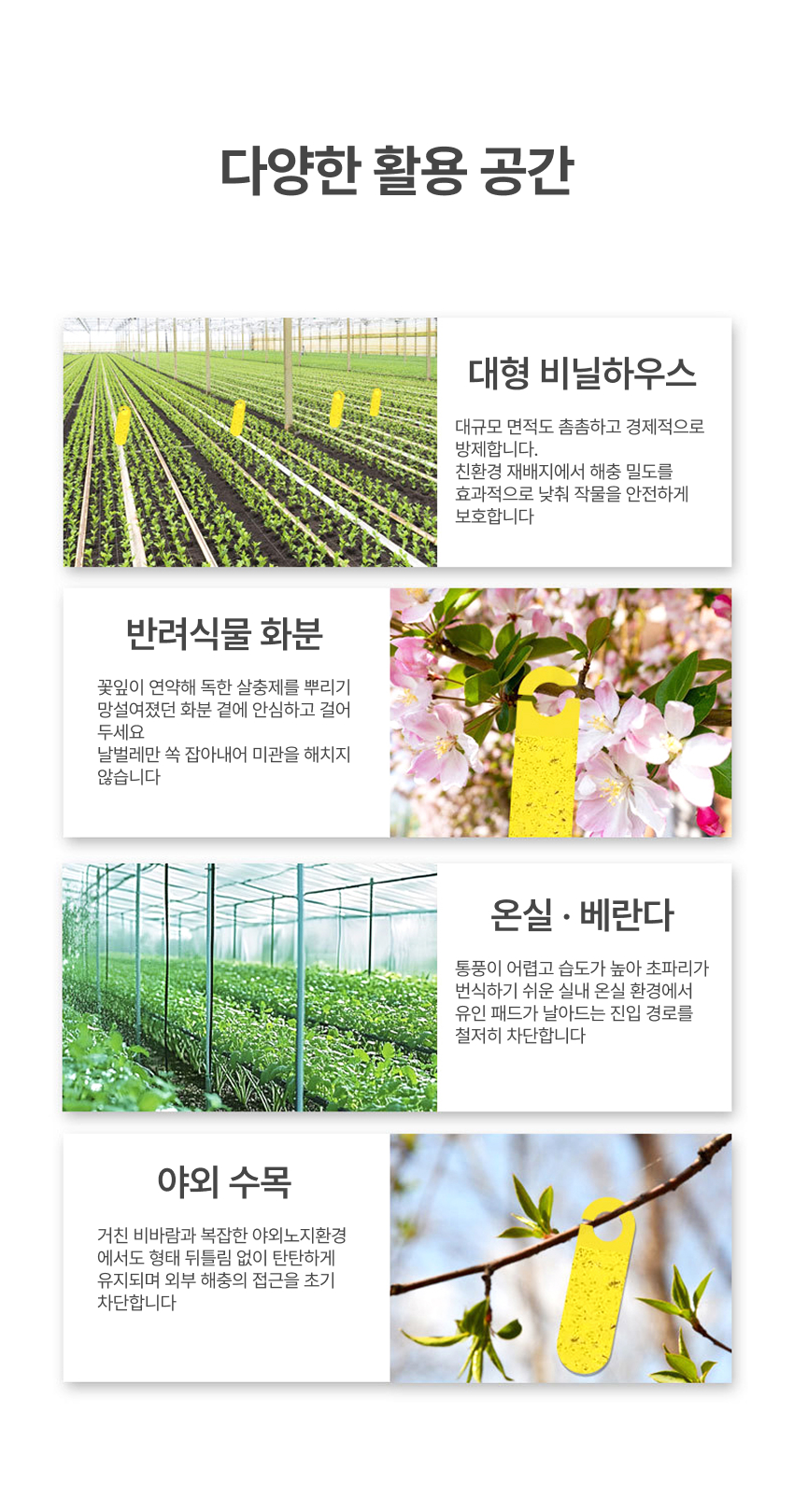 파리트랩 끈끈이 초파리끈끈이 끈끈이트랩 벌레끈끈이 추천