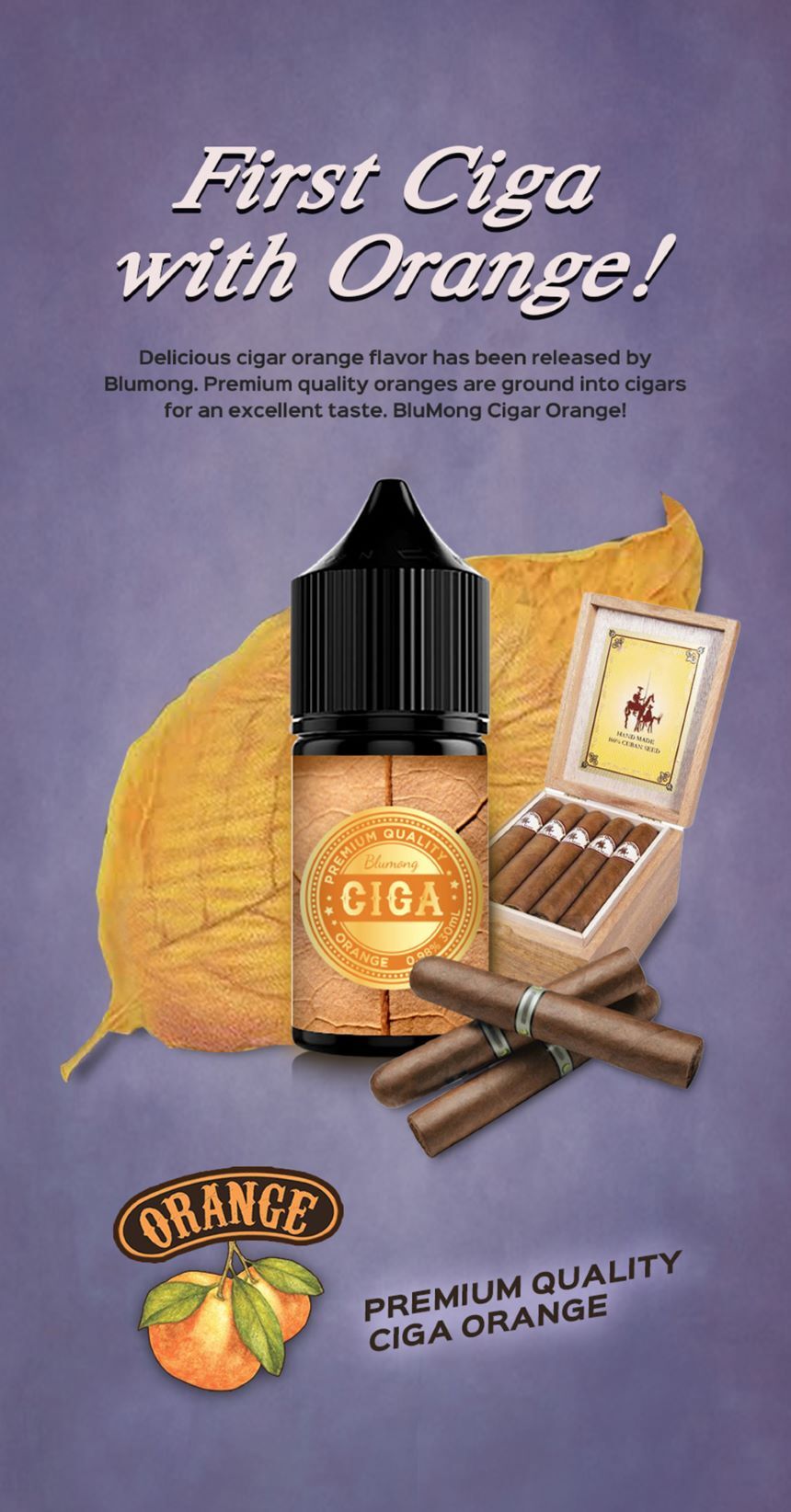 블루몽 시가 프리미엄시가 30ml | 쿠쿠루삥뽕