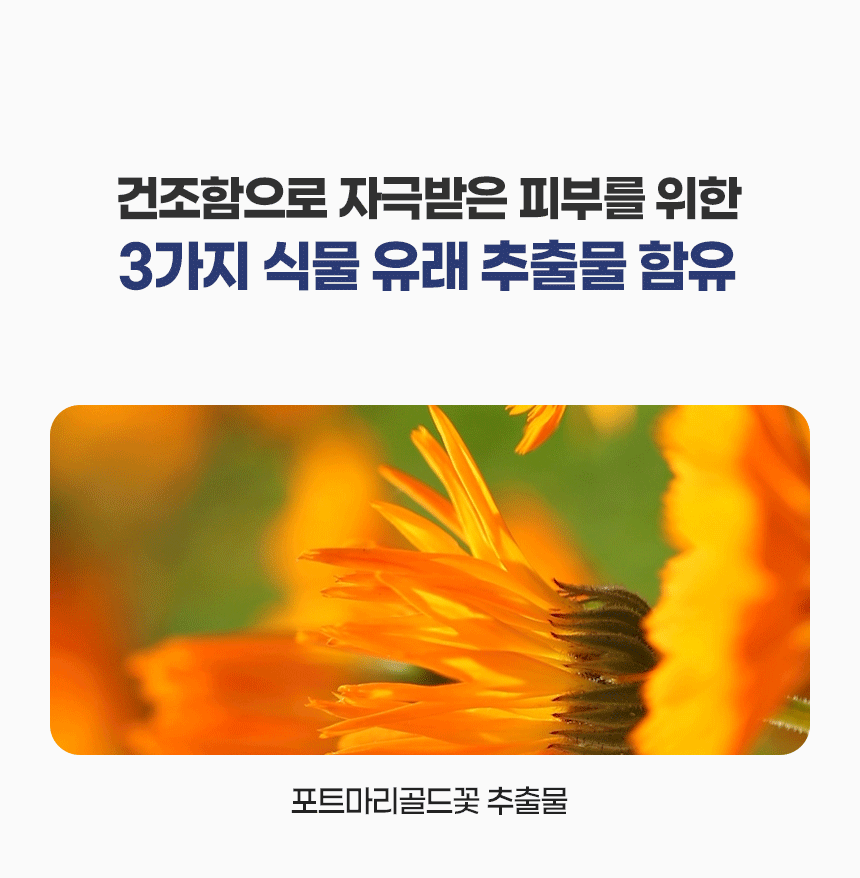 D_10z_01.gif