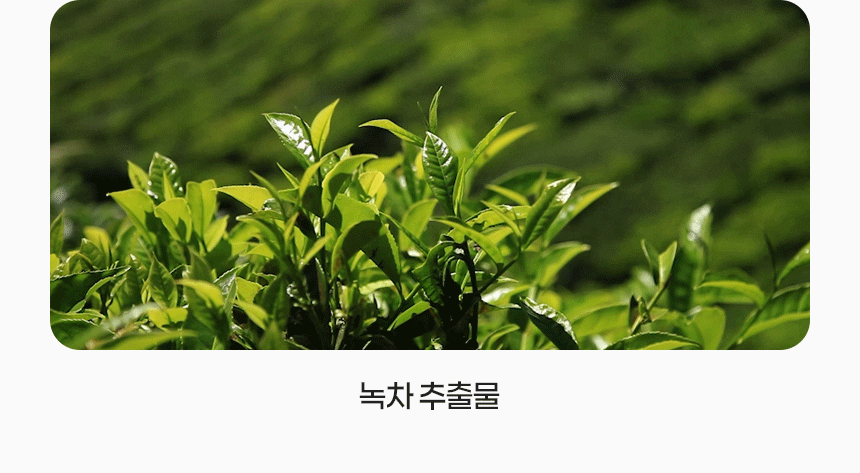 D_10z_02.gif