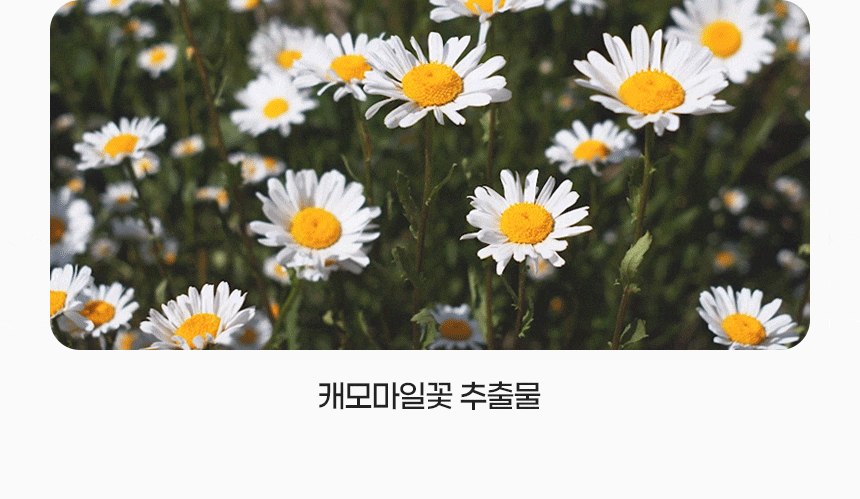 D_10z_03.gif