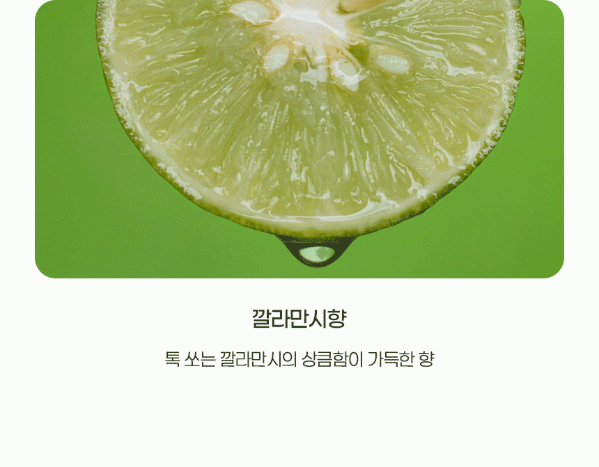 D_12z_02.gif