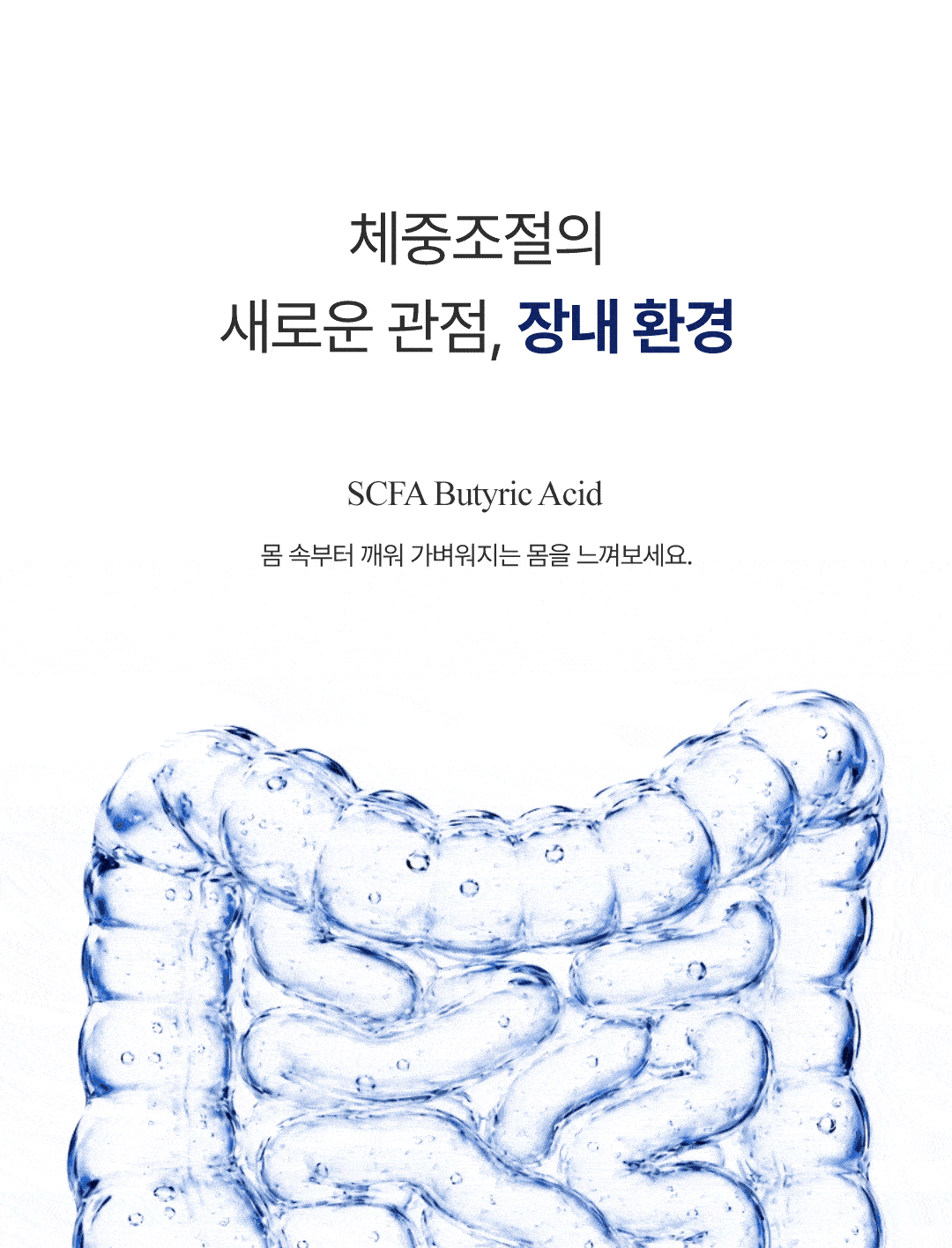 나잇밤(Night BOMB)