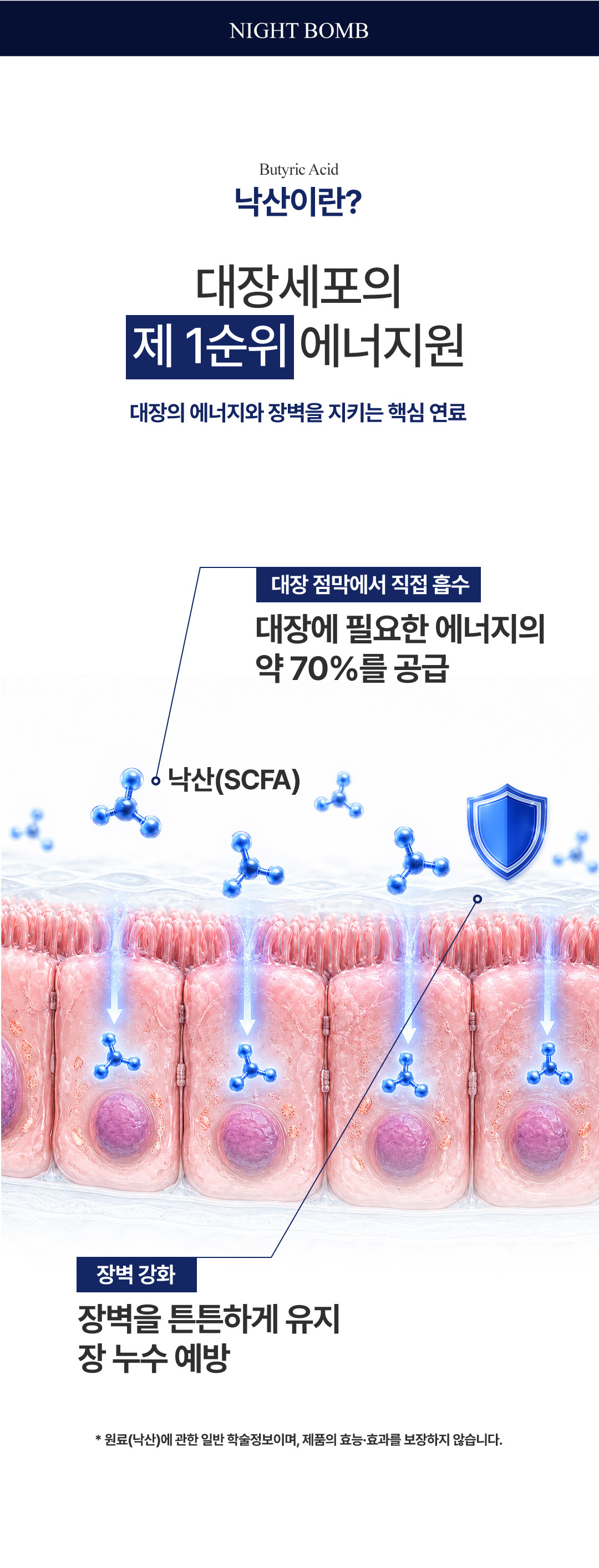 나잇밤(Night BOMB)