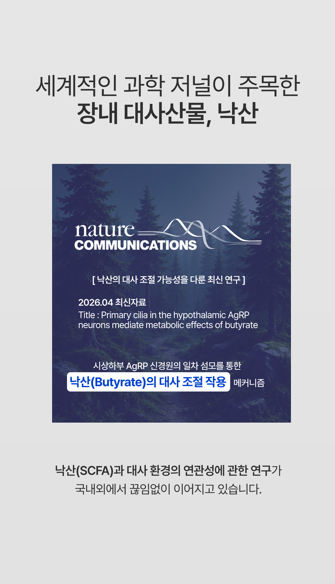 나잇밤(Night BOMB)