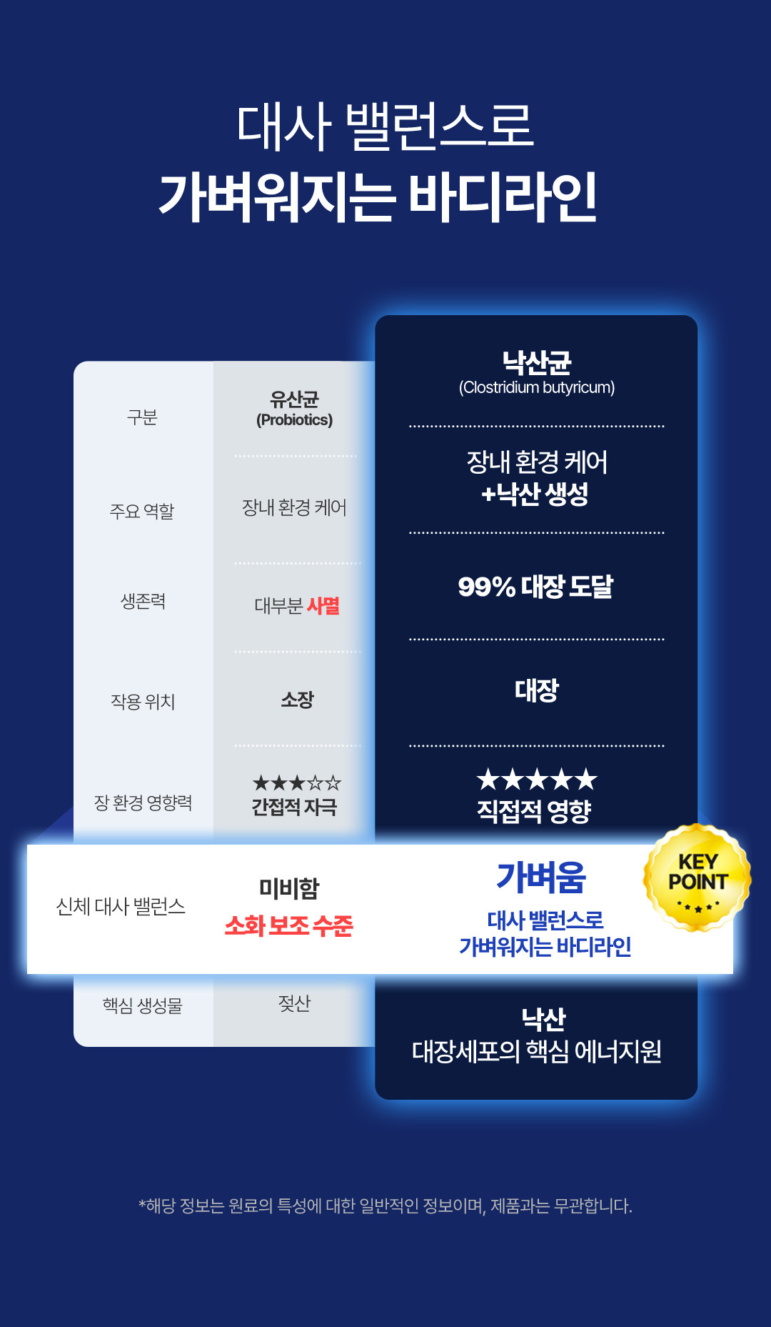 나잇밤(Night BOMB)