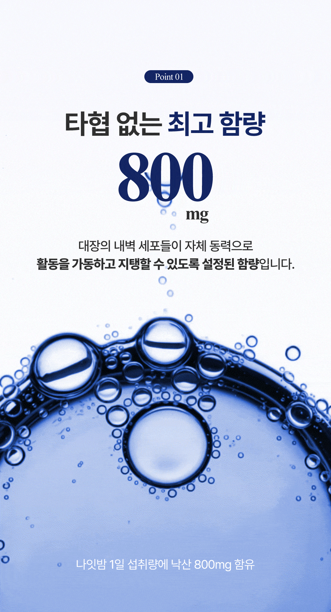 나잇밤(Night BOMB)