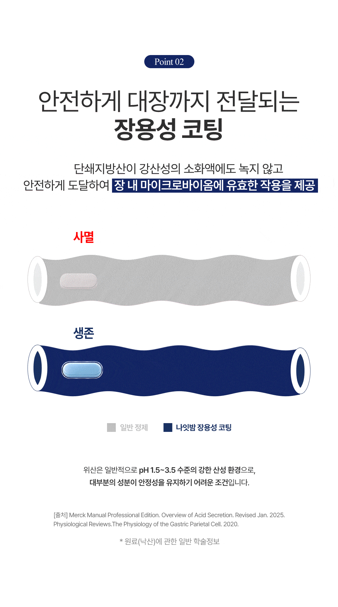 나잇밤(Night BOMB)