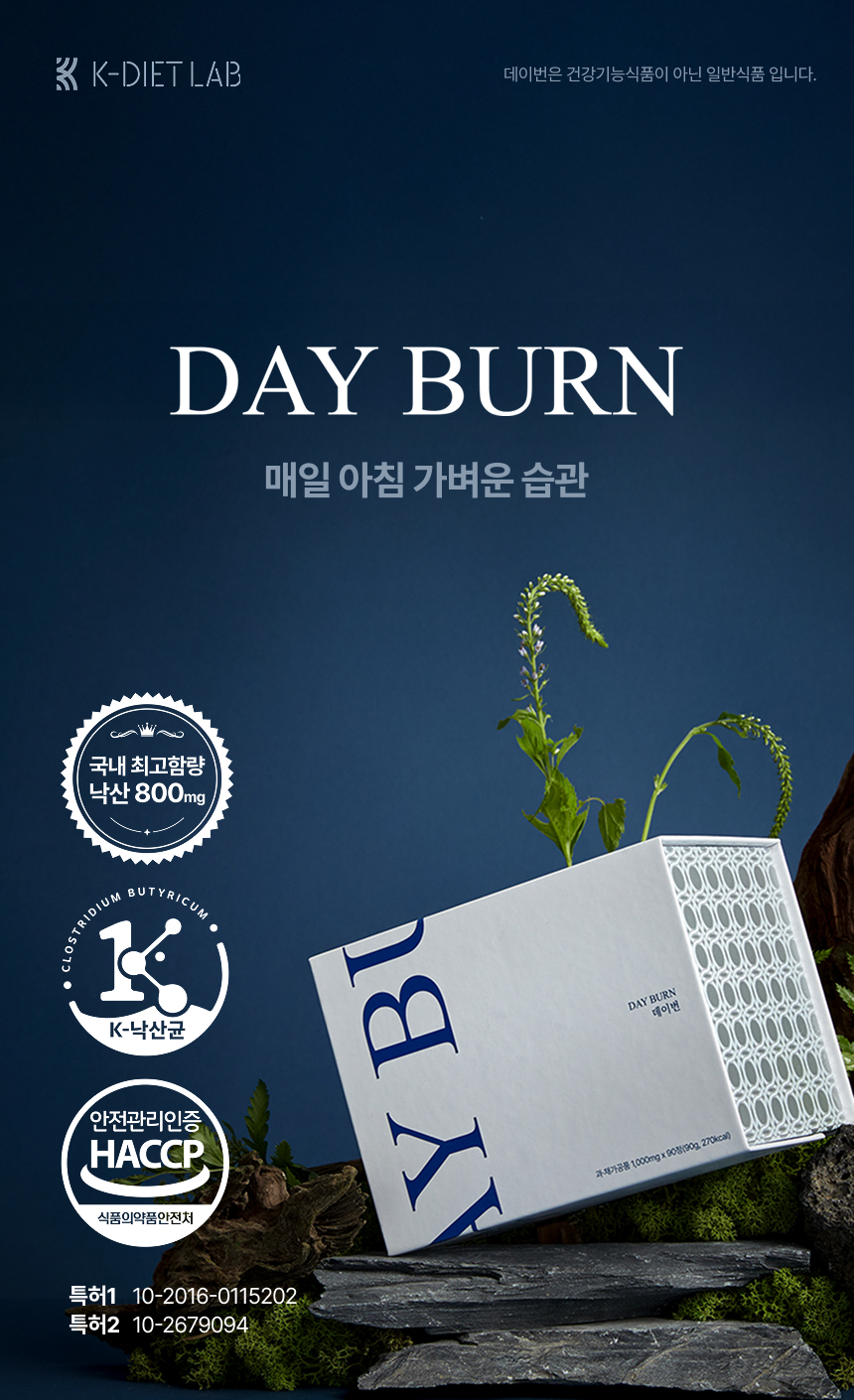 데이번(DAYBURN) x 탬맘 개인결제