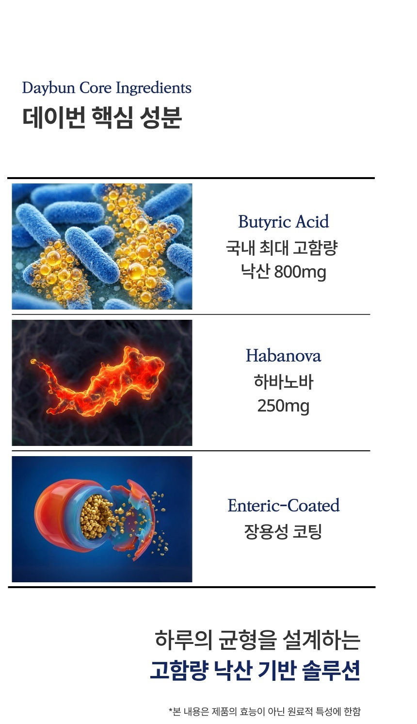 데이번(DAYBURN) x 탬맘 개인결제