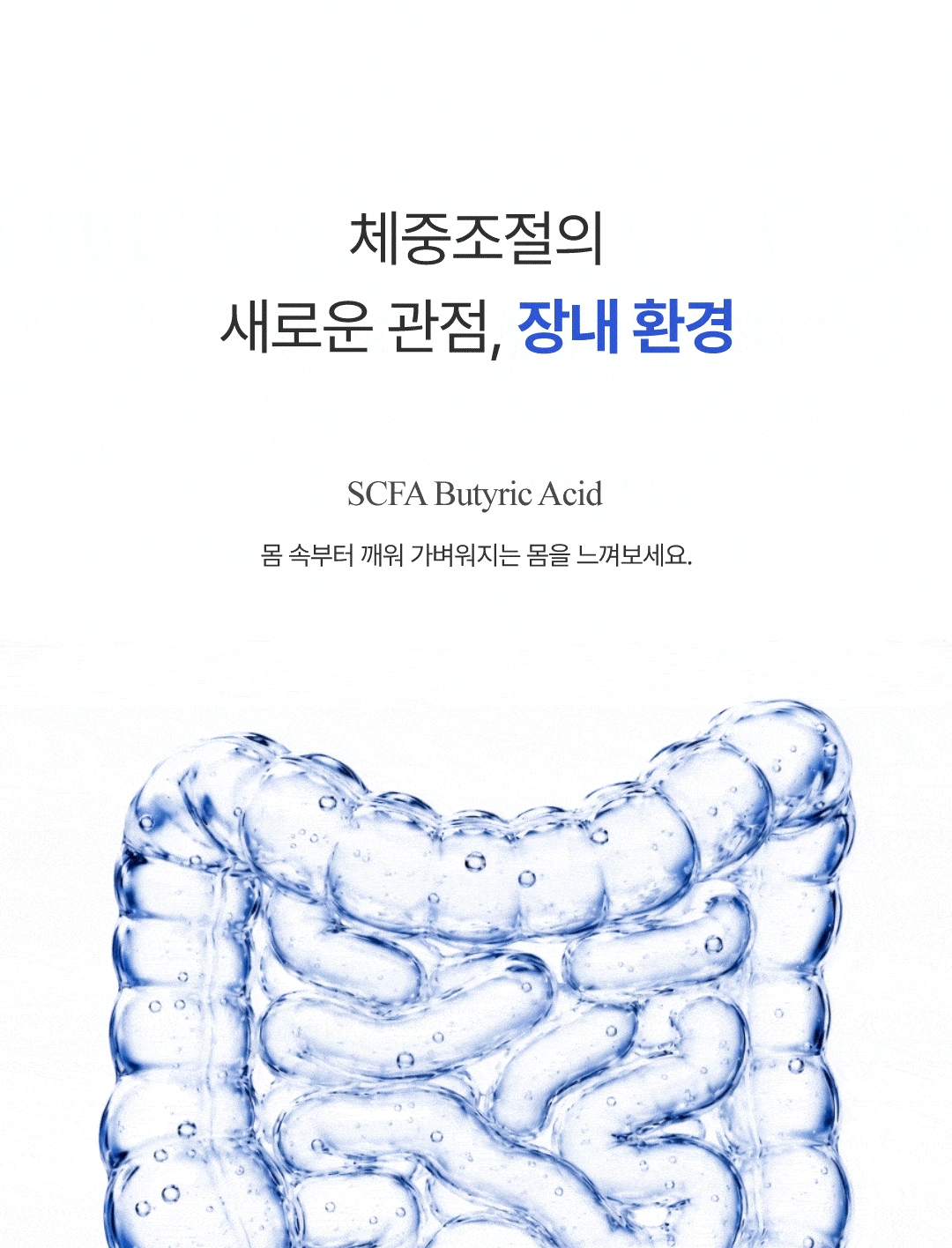 데이번