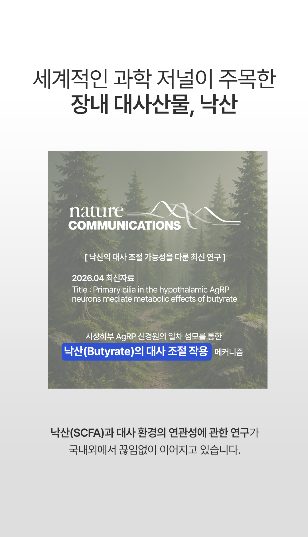 데이번